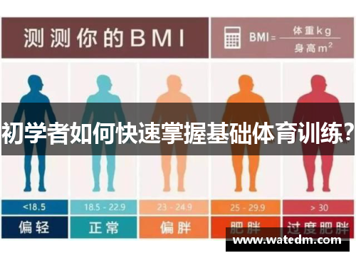初学者如何快速掌握基础体育训练？