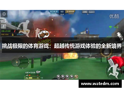 挑战极限的体育游戏：超越传统游戏体验的全新境界