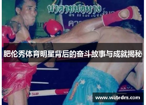 肥伦秀体育明星背后的奋斗故事与成就揭秘